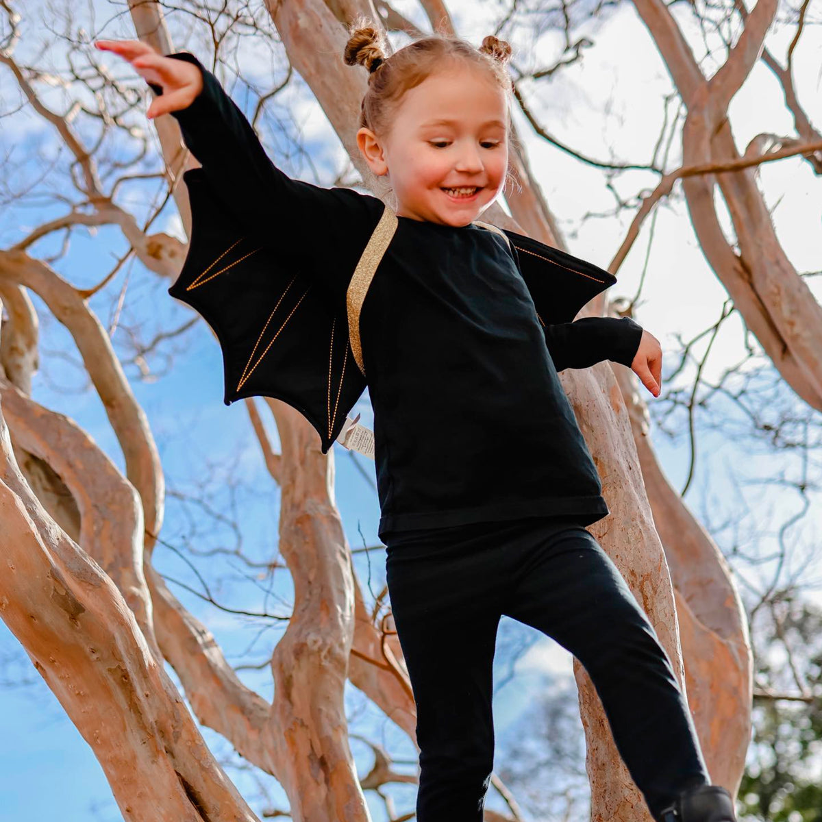 Dress-Up Bat Wings - Black