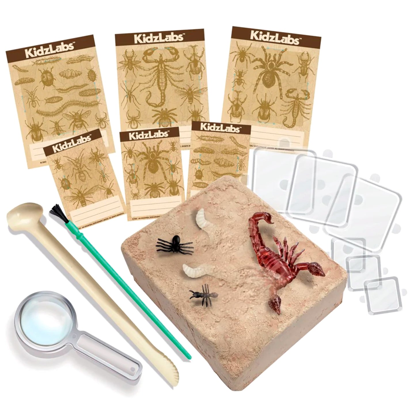 KidzLabs - Creepy Crawly Digging Kit