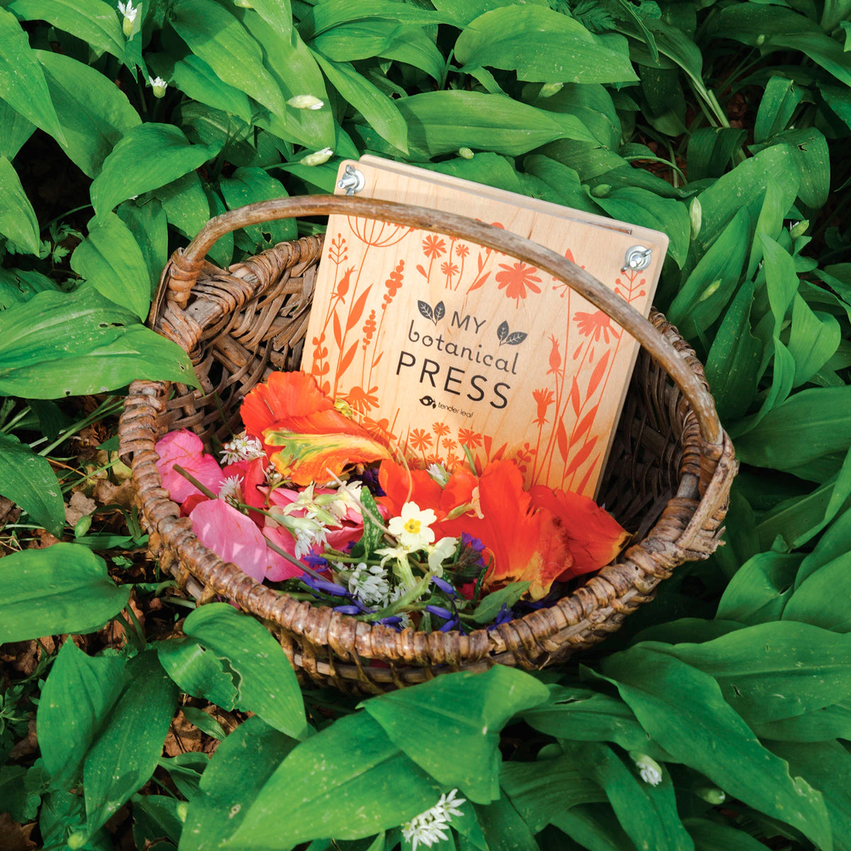 My Botanical Flower Press