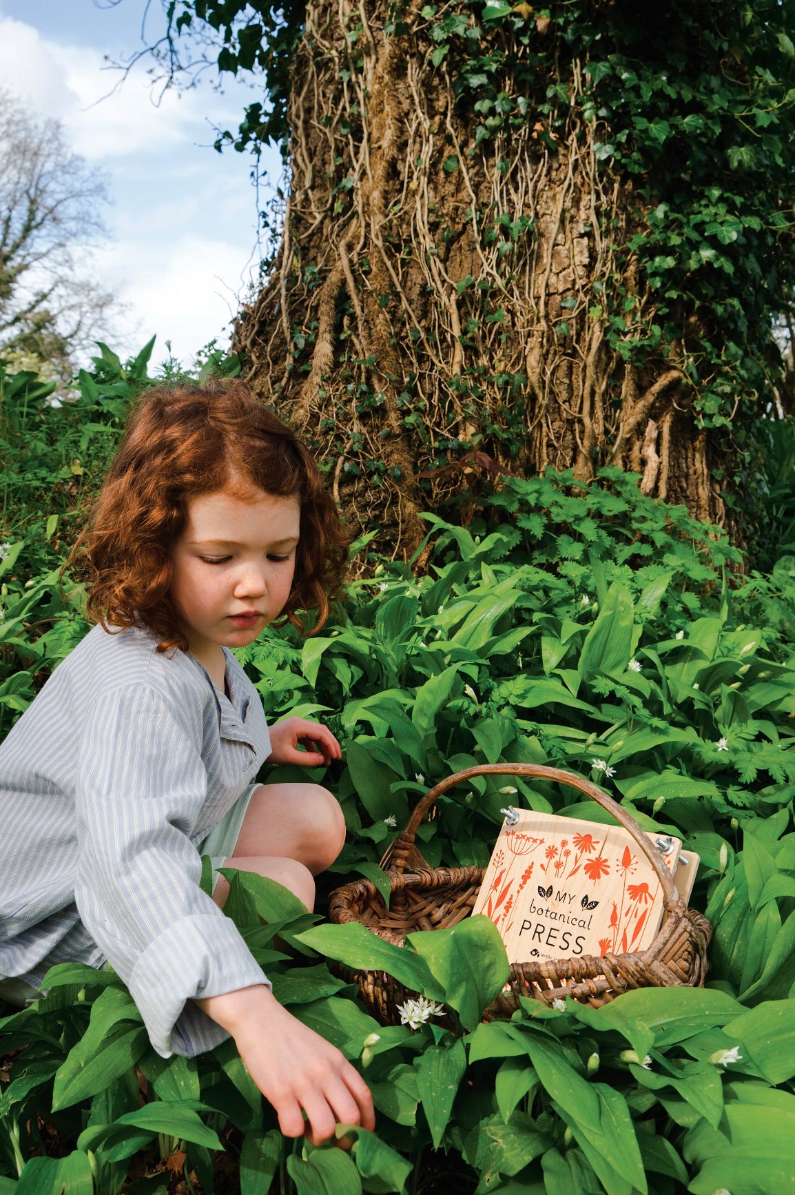 My Botanical Flower Press