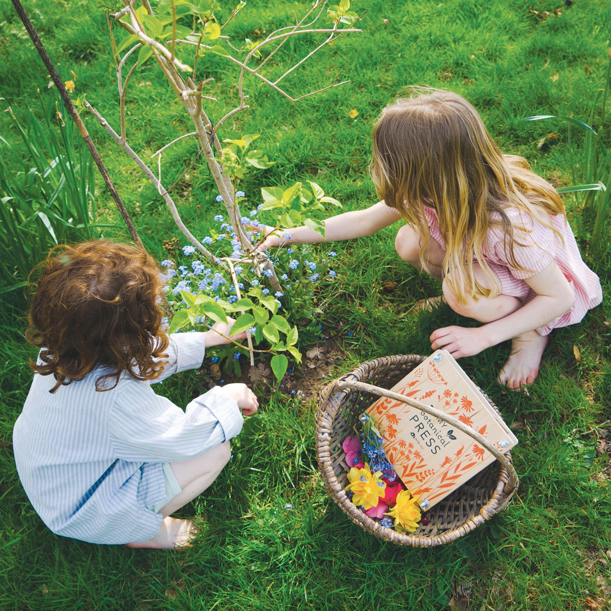 My Botanical Flower Press