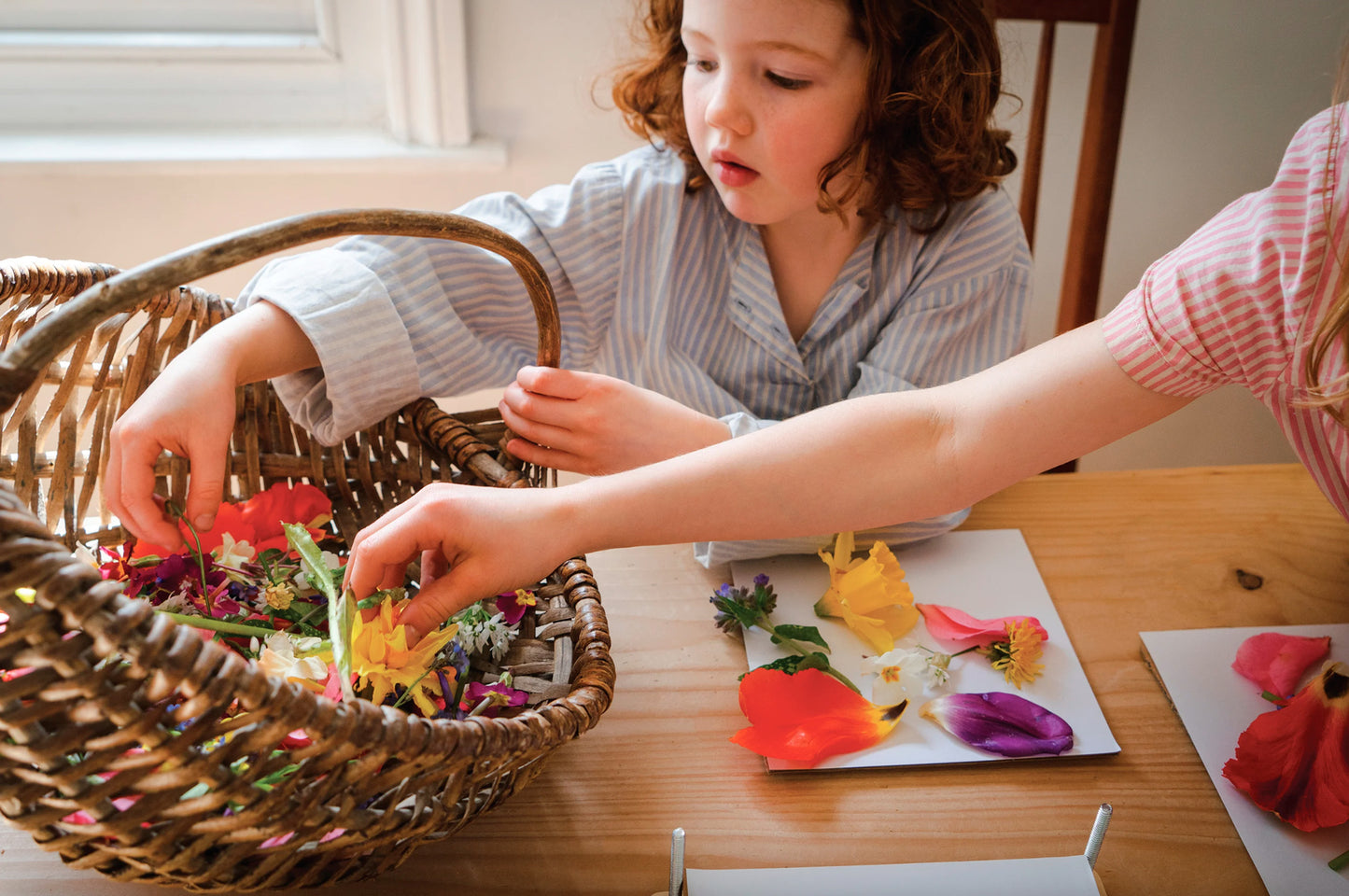 My Botanical Flower Press