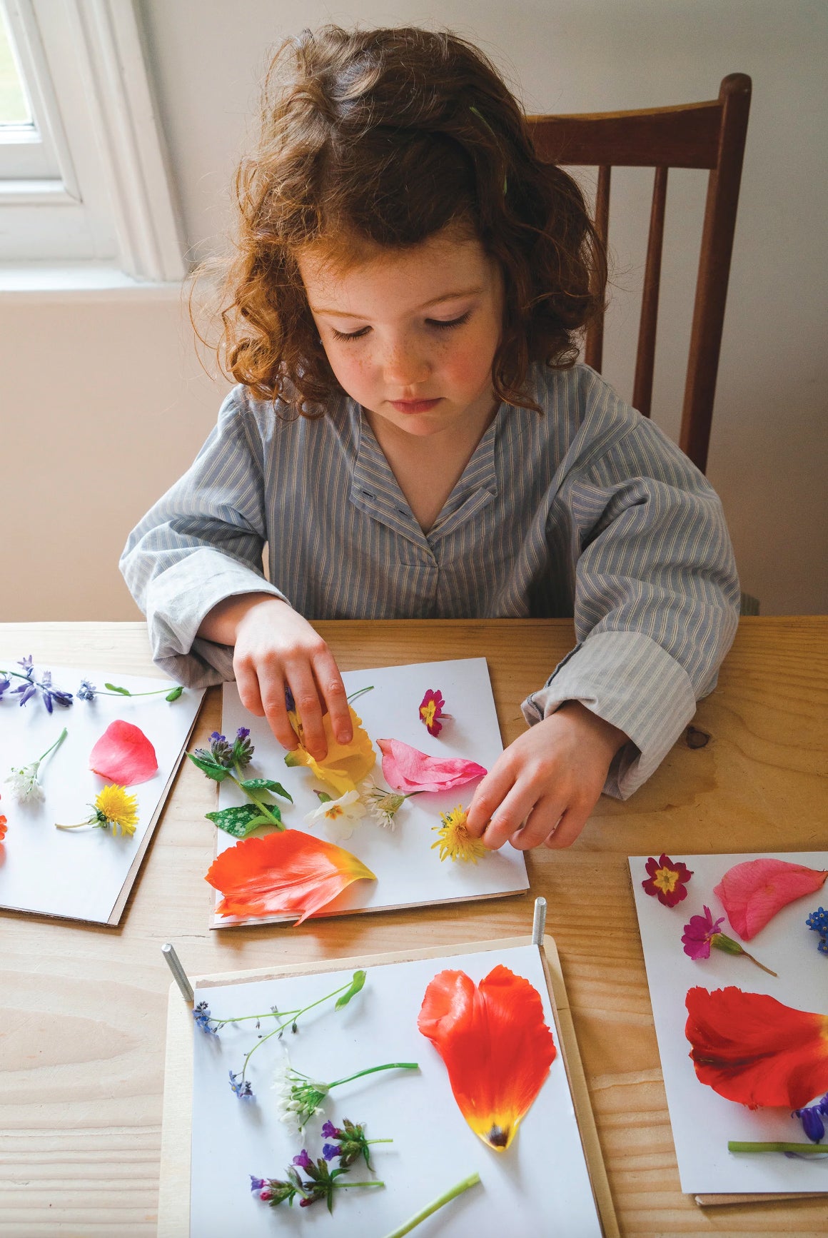 My Botanical Flower Press