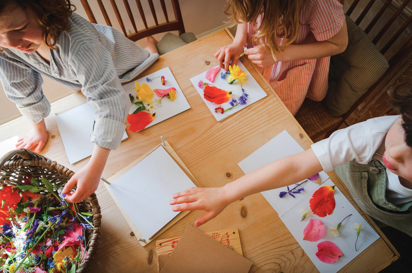 My Botanical Flower Press