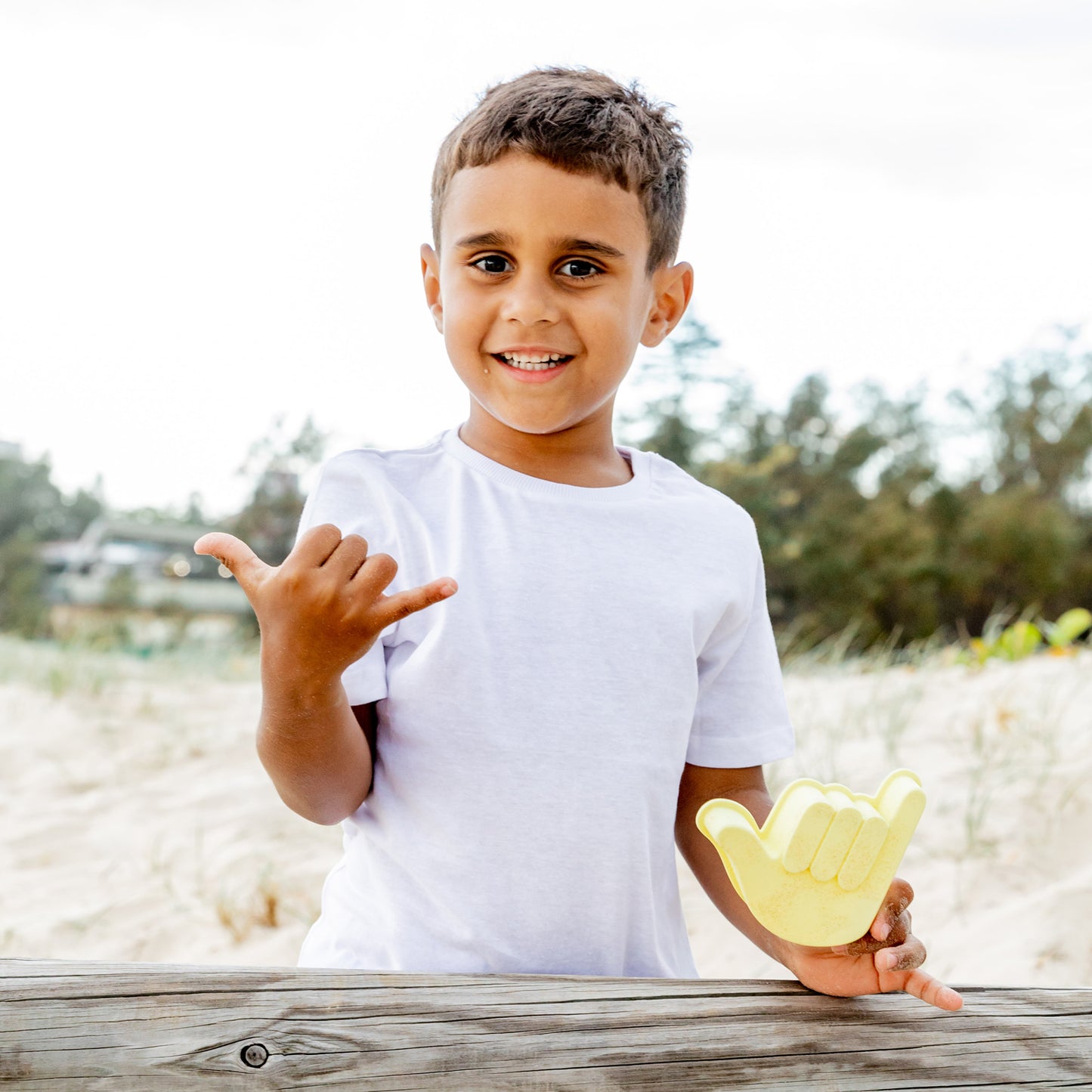 Shelly Beach Moulds - Set of 4