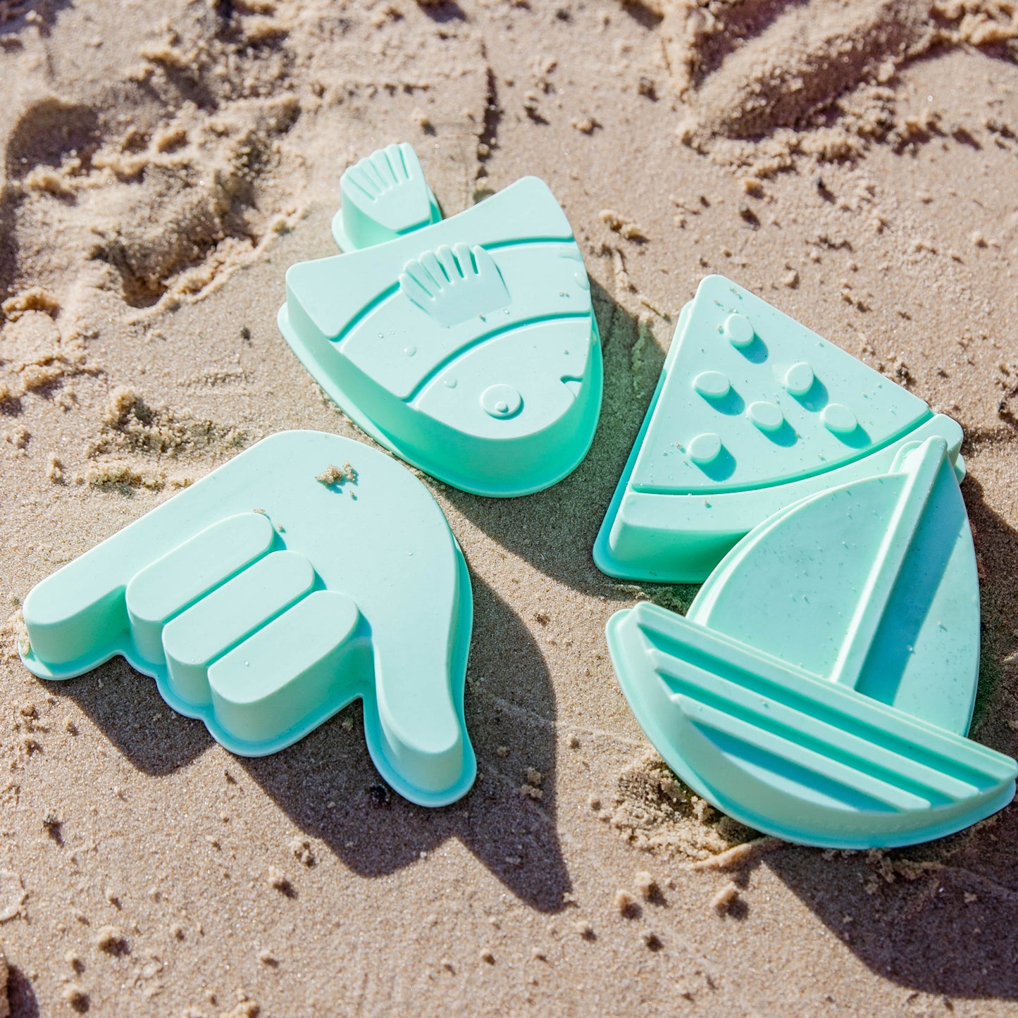 Shelly Beach Moulds - Set of 4