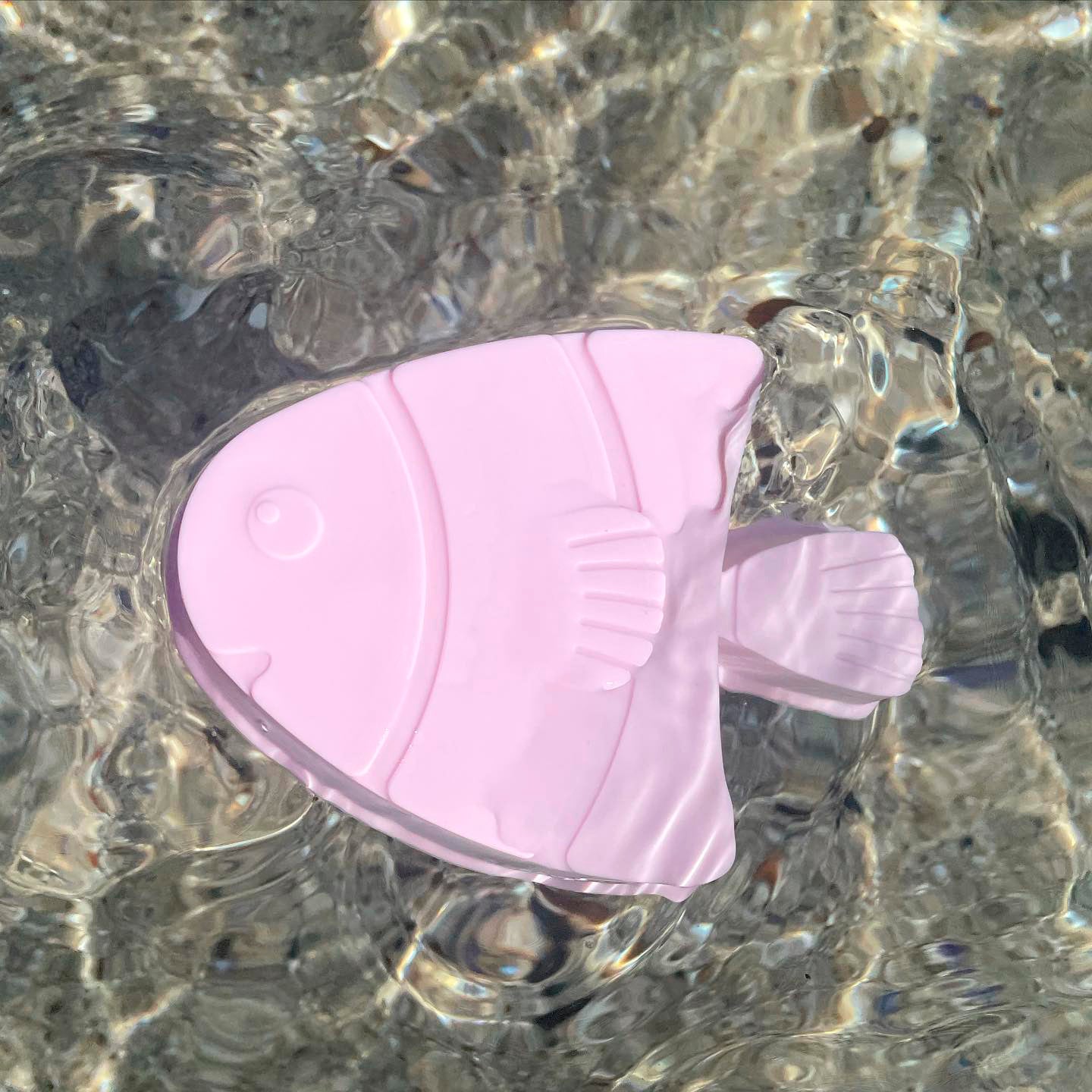 Shelly Beach Moulds - Set of 4