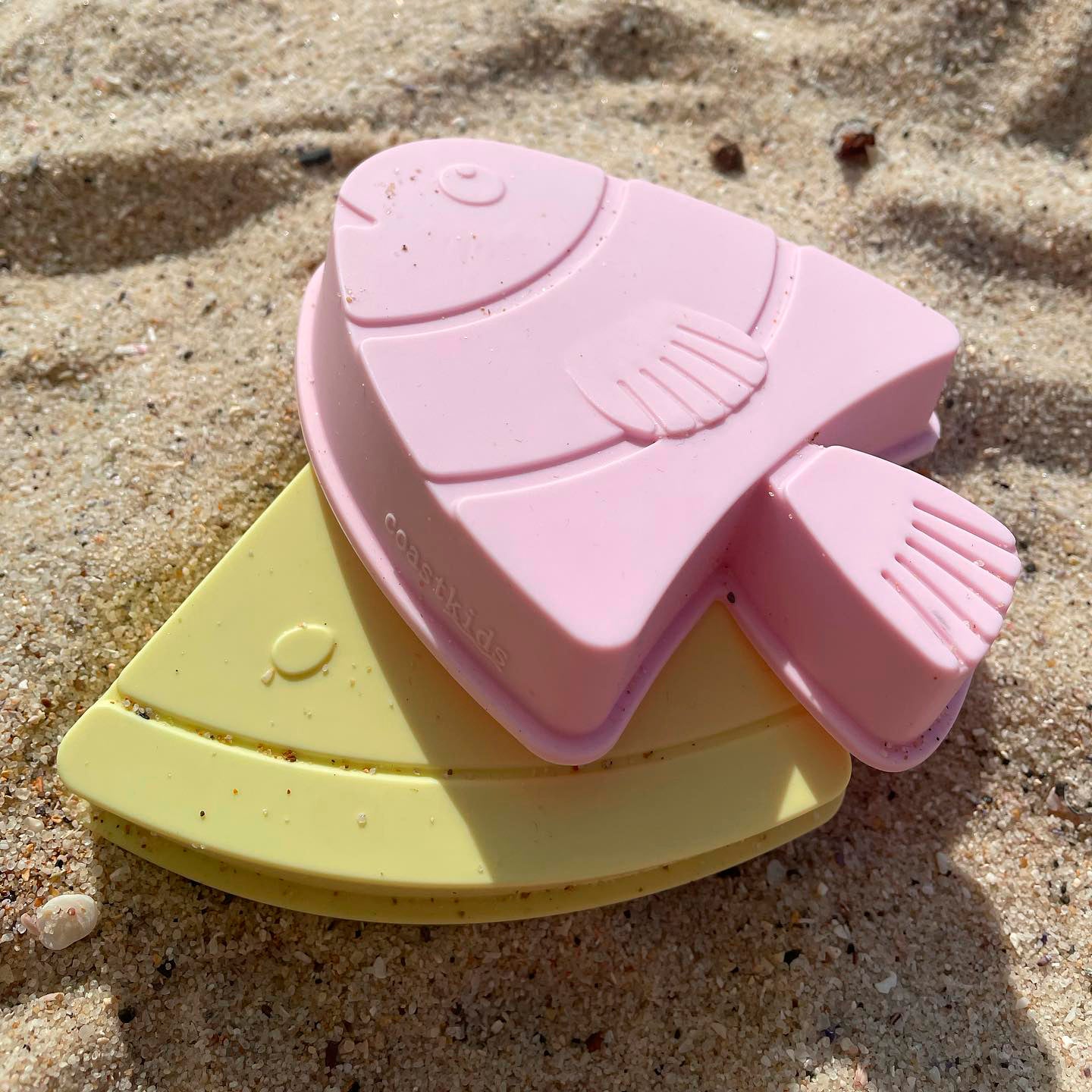 Shelly Beach Moulds - Set of 4