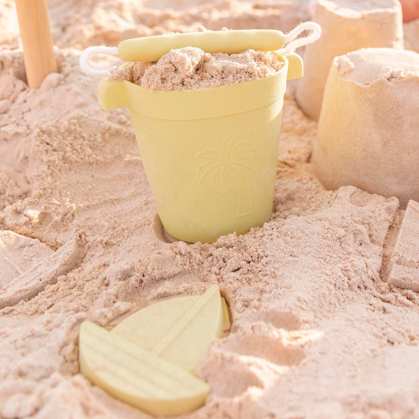 Shelly Beach Moulds - Set of 4