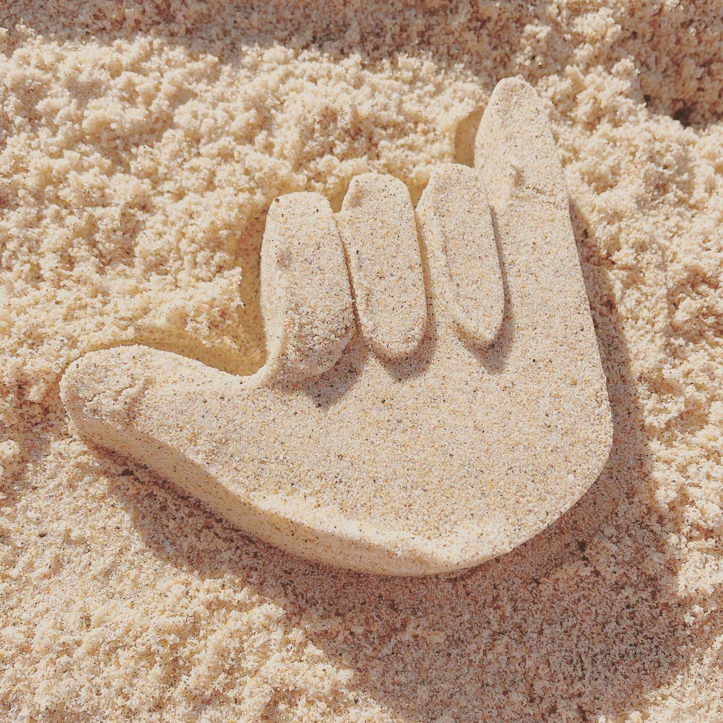 Shelly Beach Moulds - Set of 4