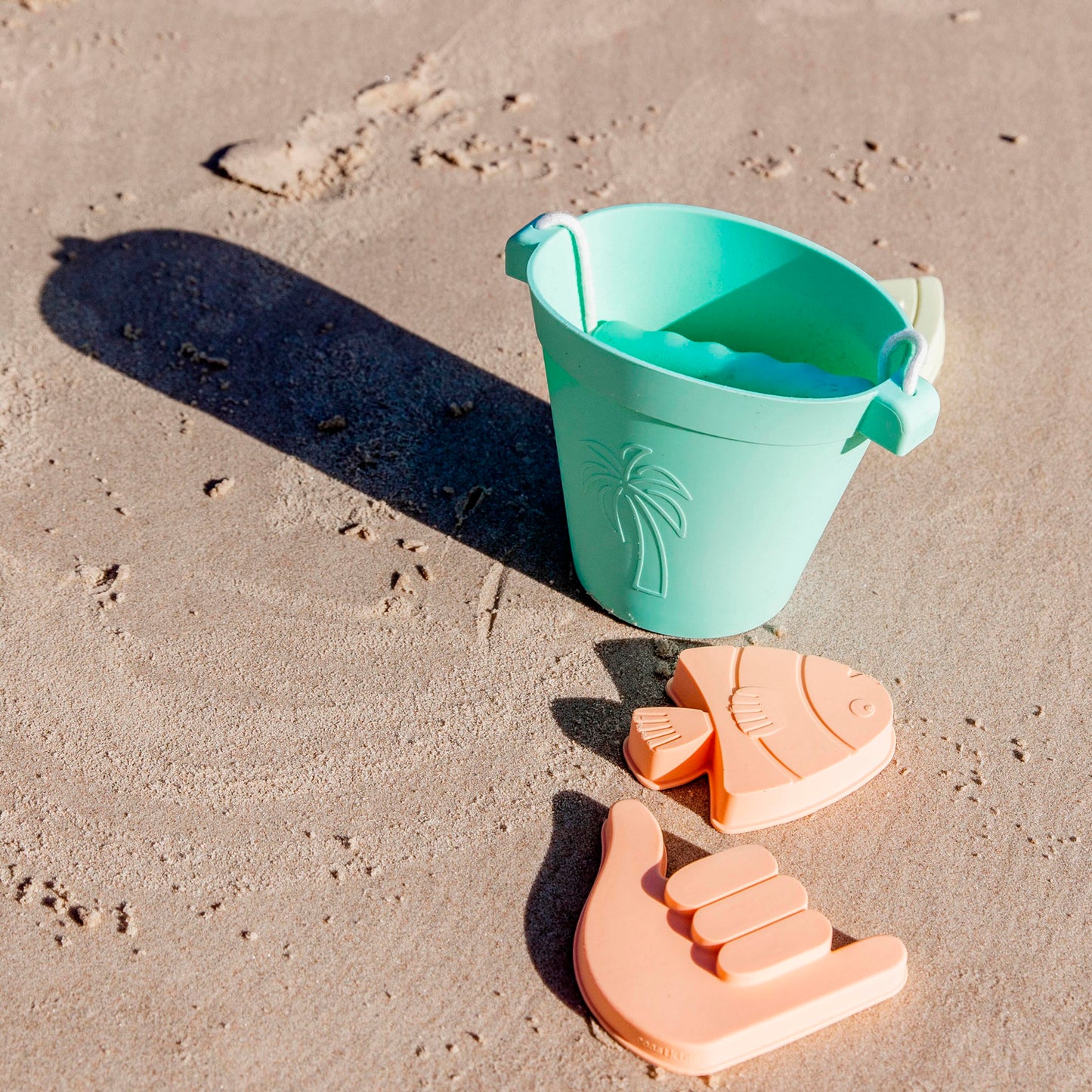 Shelly Beach Moulds - Set of 4