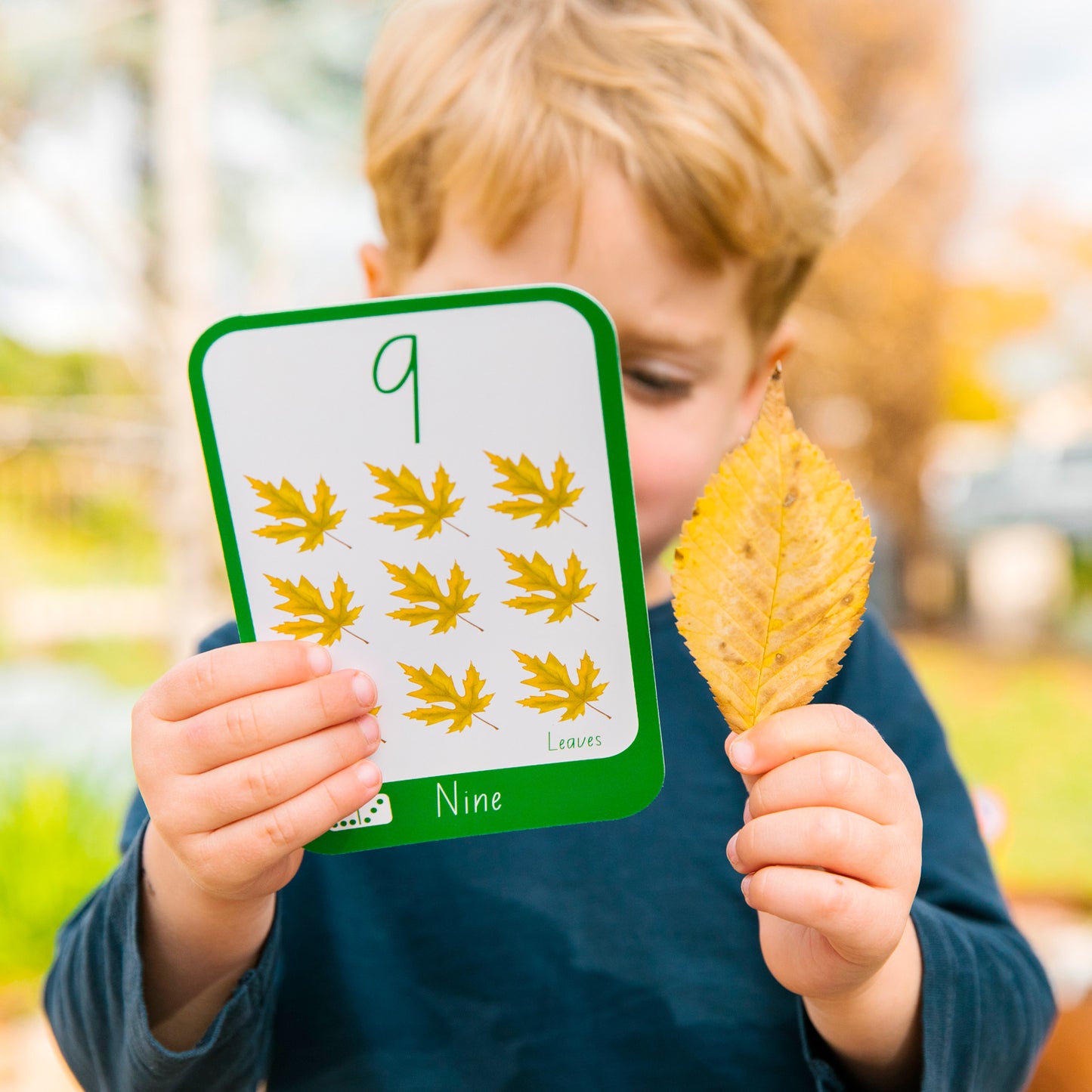 Numbers Flashcards