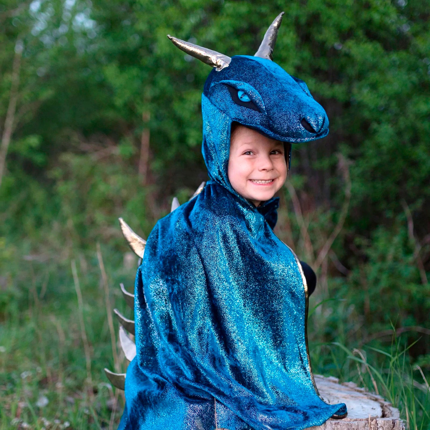 Starry Night Dragon Cape