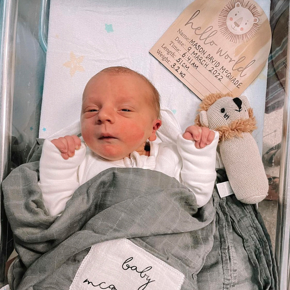 Hello World Lion Arch Birth Announcement Disc