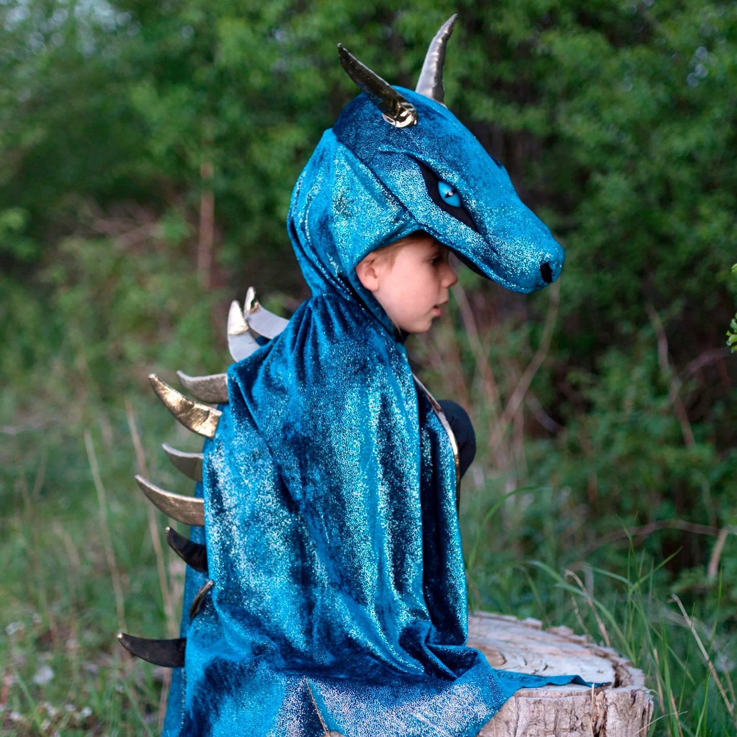 Starry Night Dragon Cape