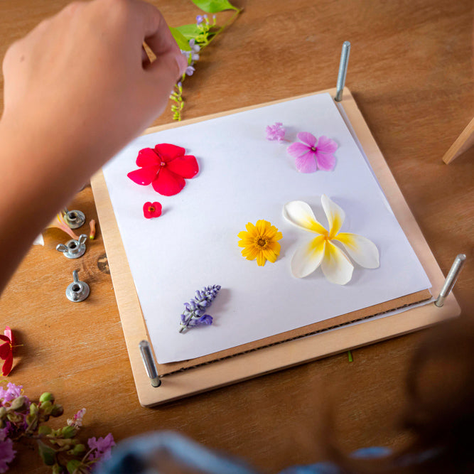 My Botanical Flower Press