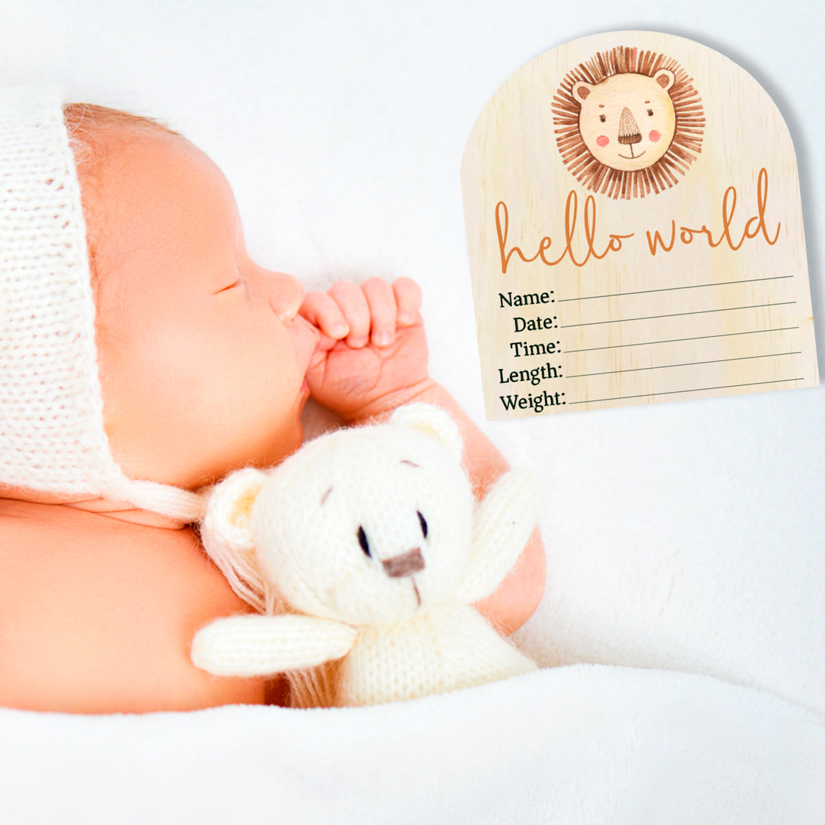 Hello World Lion Arch Birth Announcement Disc