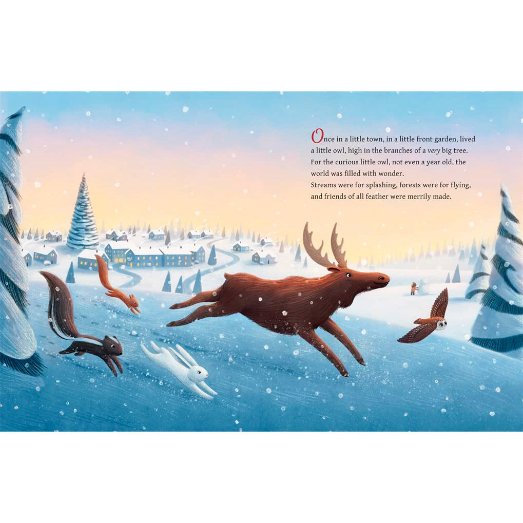 The Christmas Owl - Gideon Sterer, Ellen Kalish & Ramona Kaulitzki