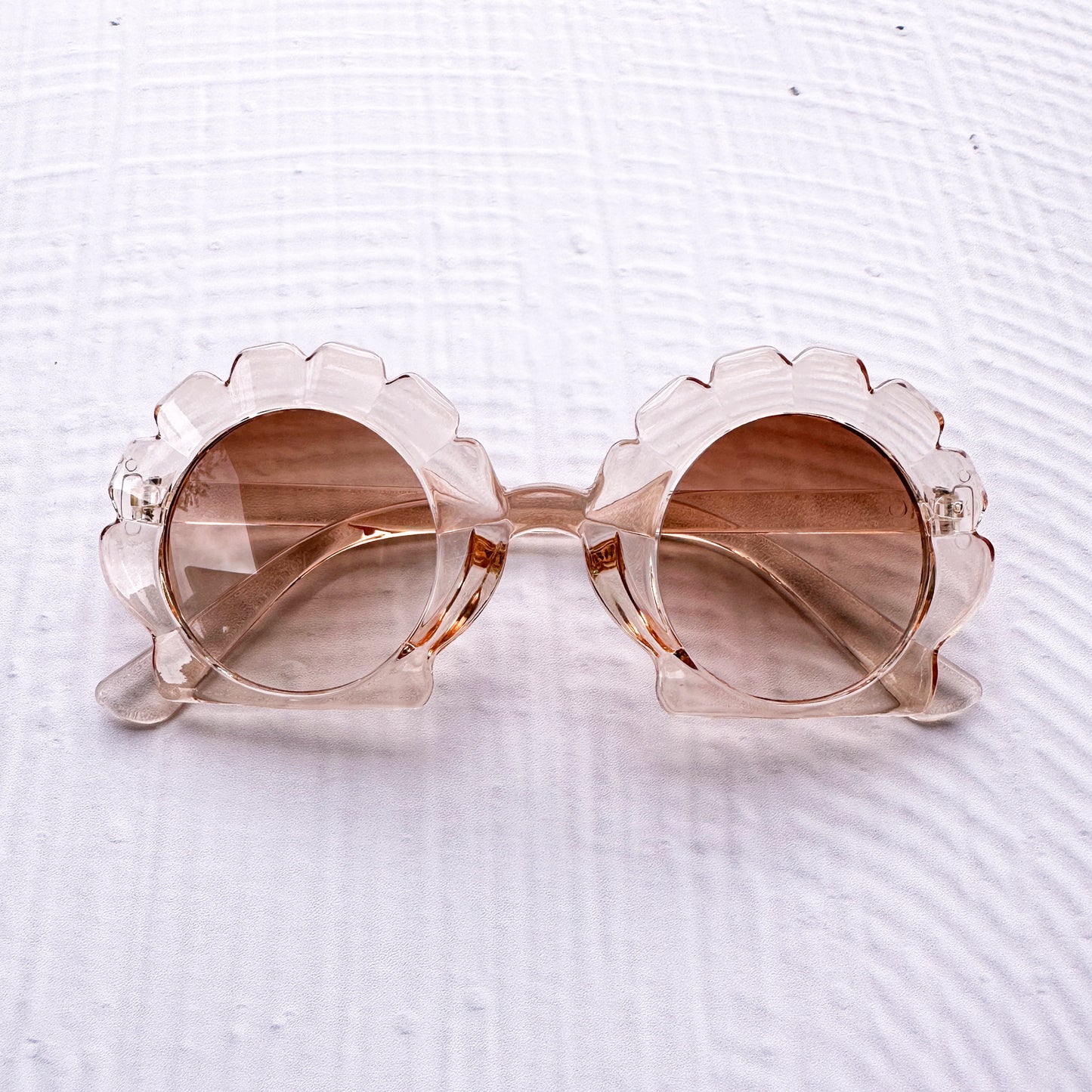 Cora Clam Shell Sunglasses