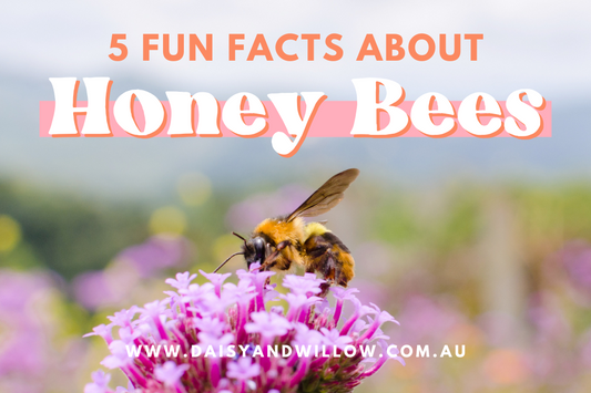 5 fun facts about Honey Bees