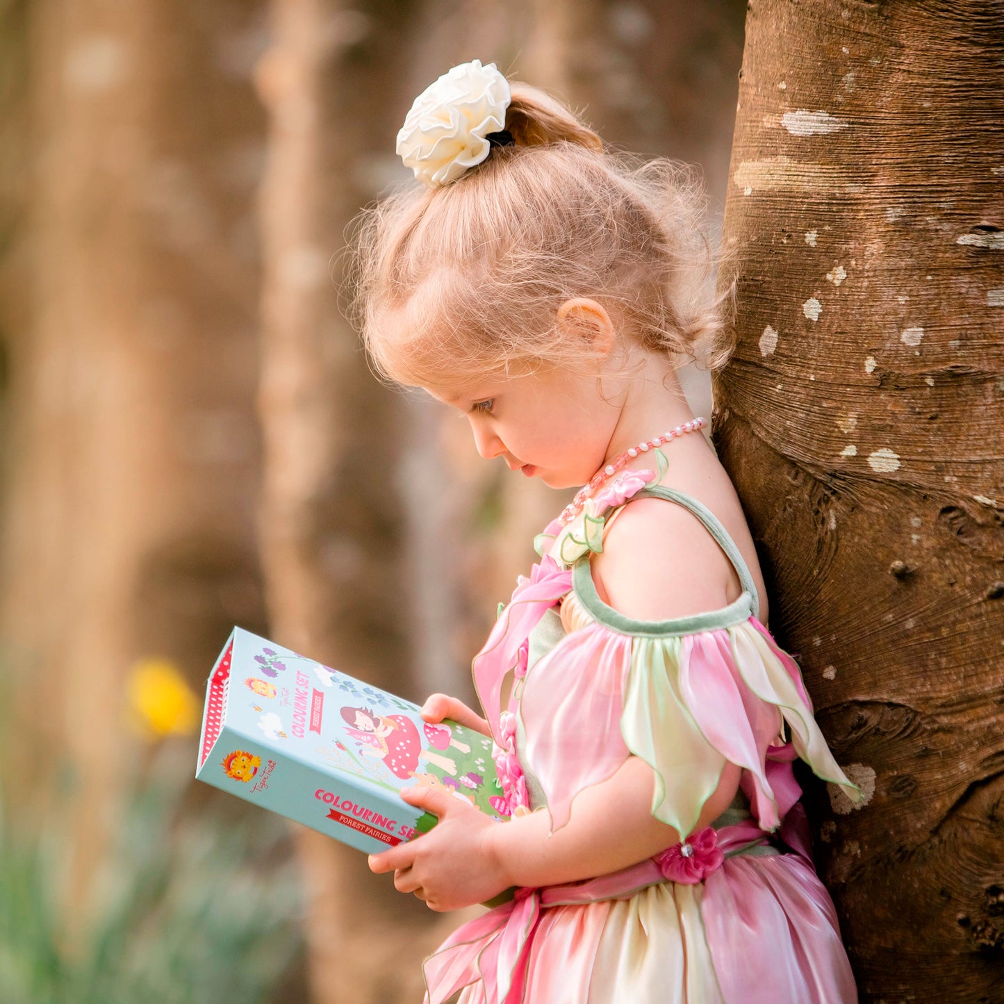 Colouring Set - Forest Fairies