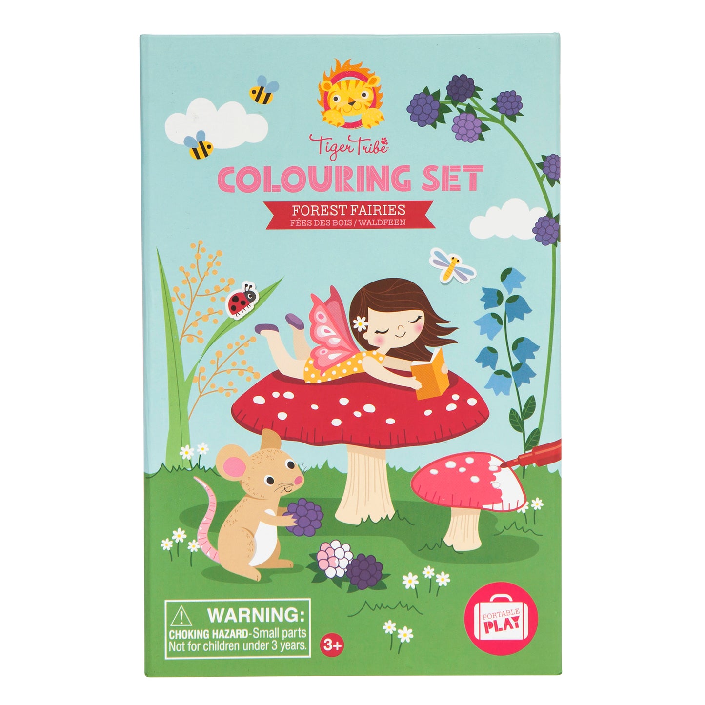 Colouring Set - Forest Fairies
