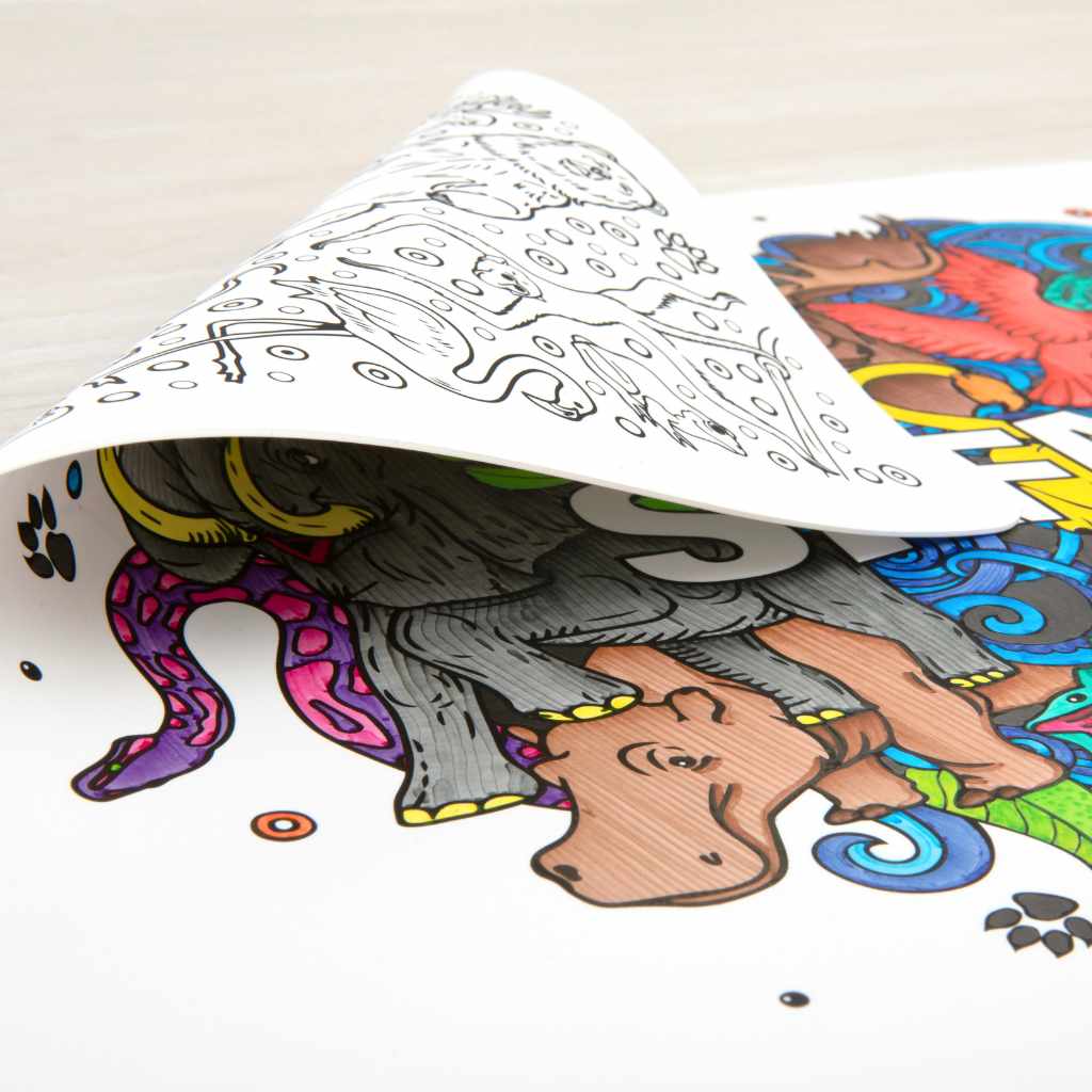 SAFARI Re-FUN-able™ Colouring Set