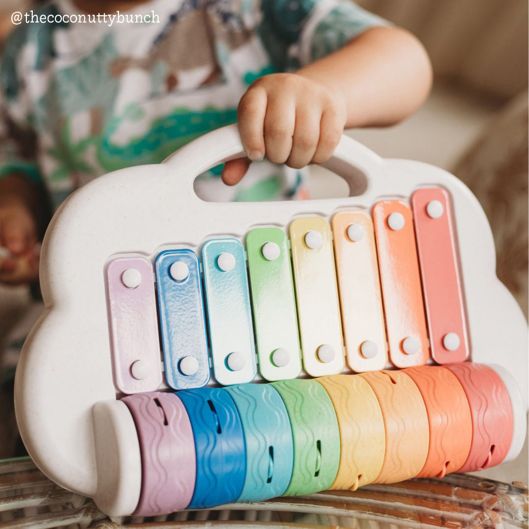 Rainbow Roller Xylophone