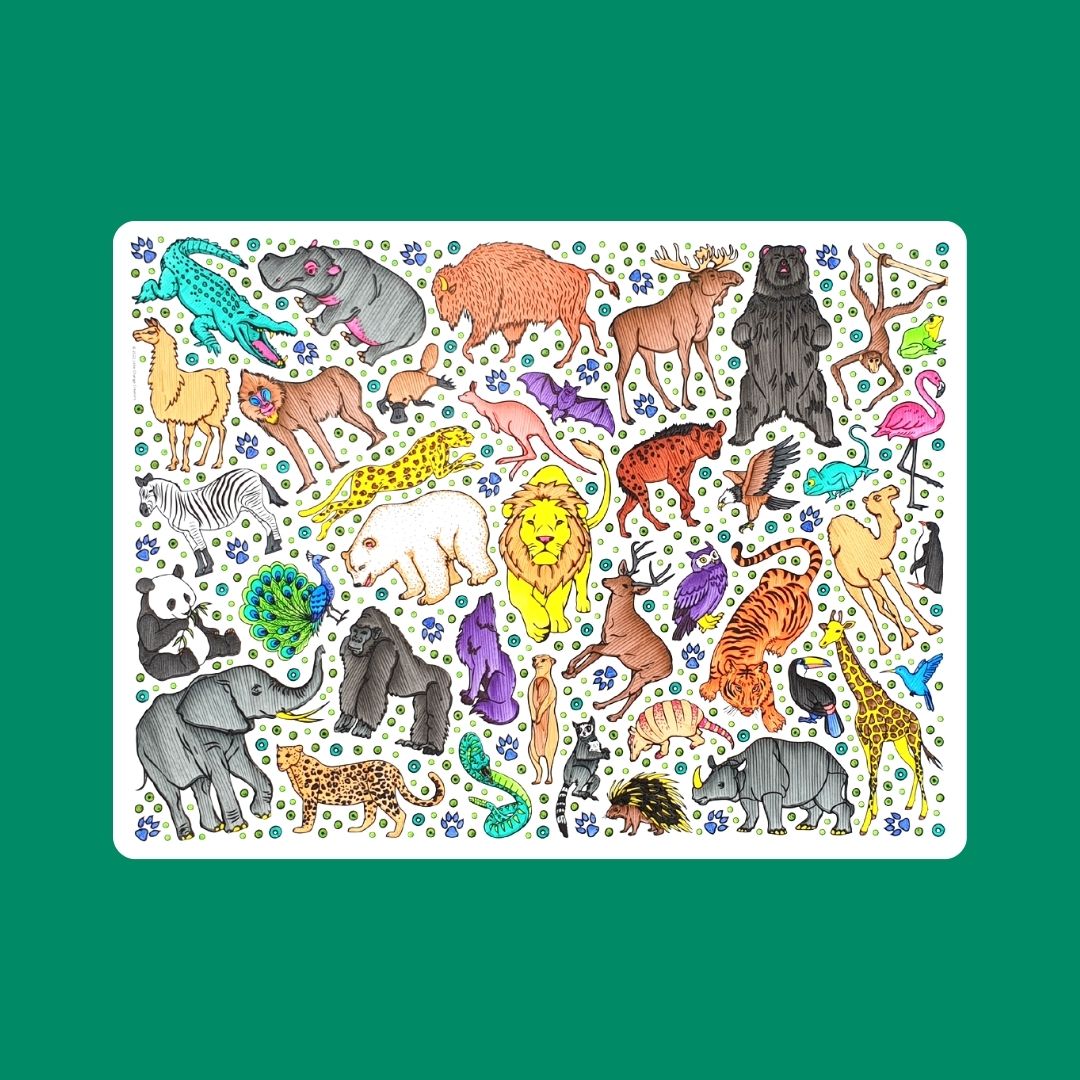 SAFARI Re-FUN-able™ Colouring Set