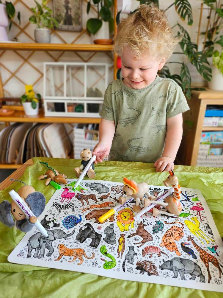 SAFARI Re-FUN-able™ Colouring Set