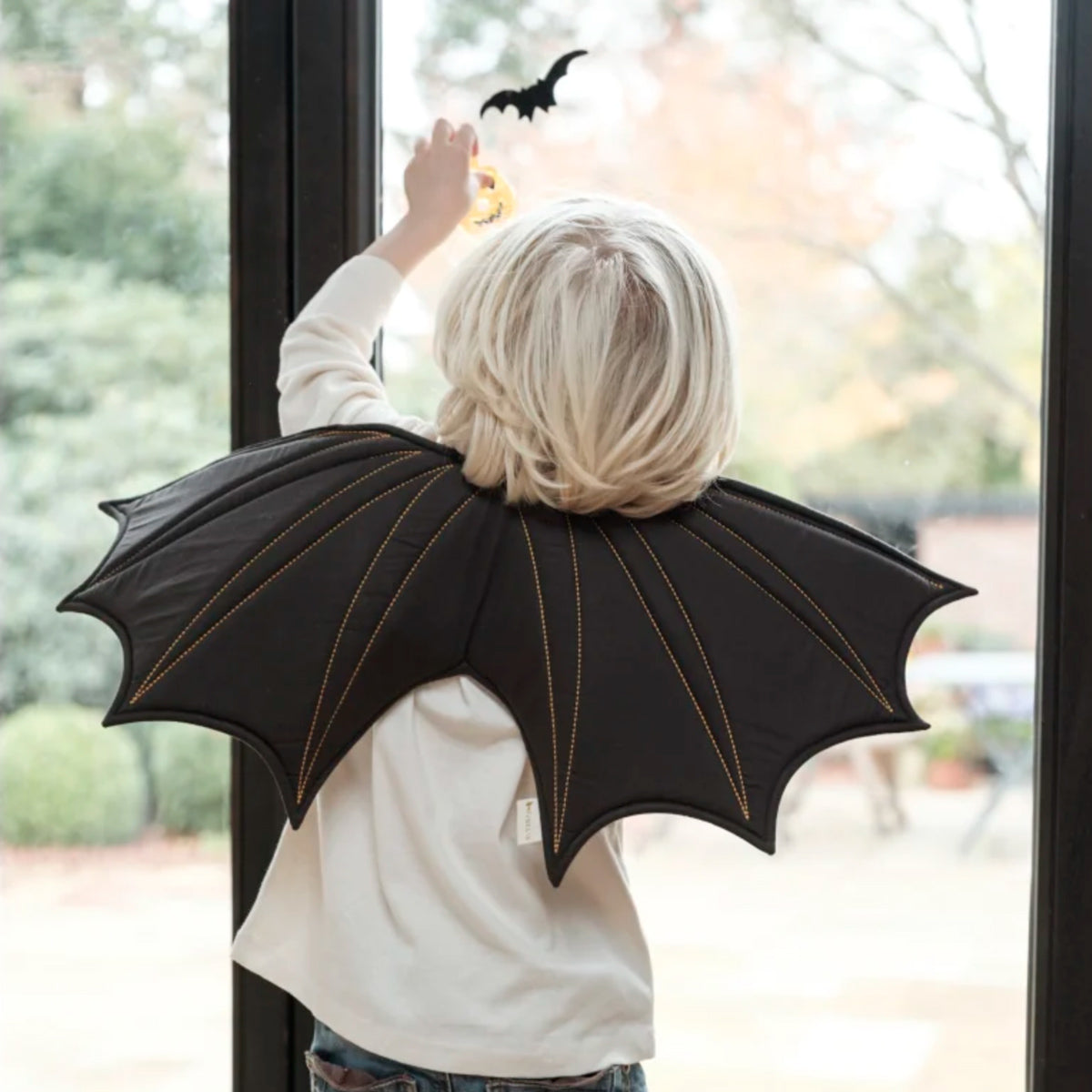 Dress-Up Bat Wings - Black
