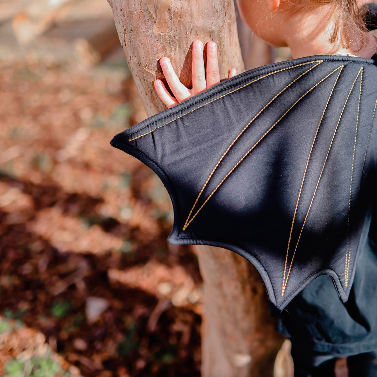 Dress-Up Bat Wings - Black