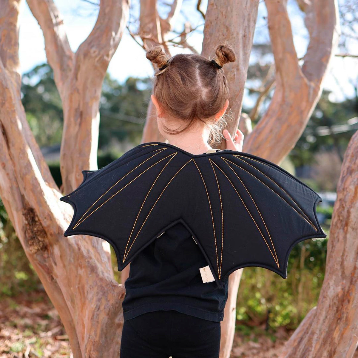 Dress-Up Bat Wings - Black