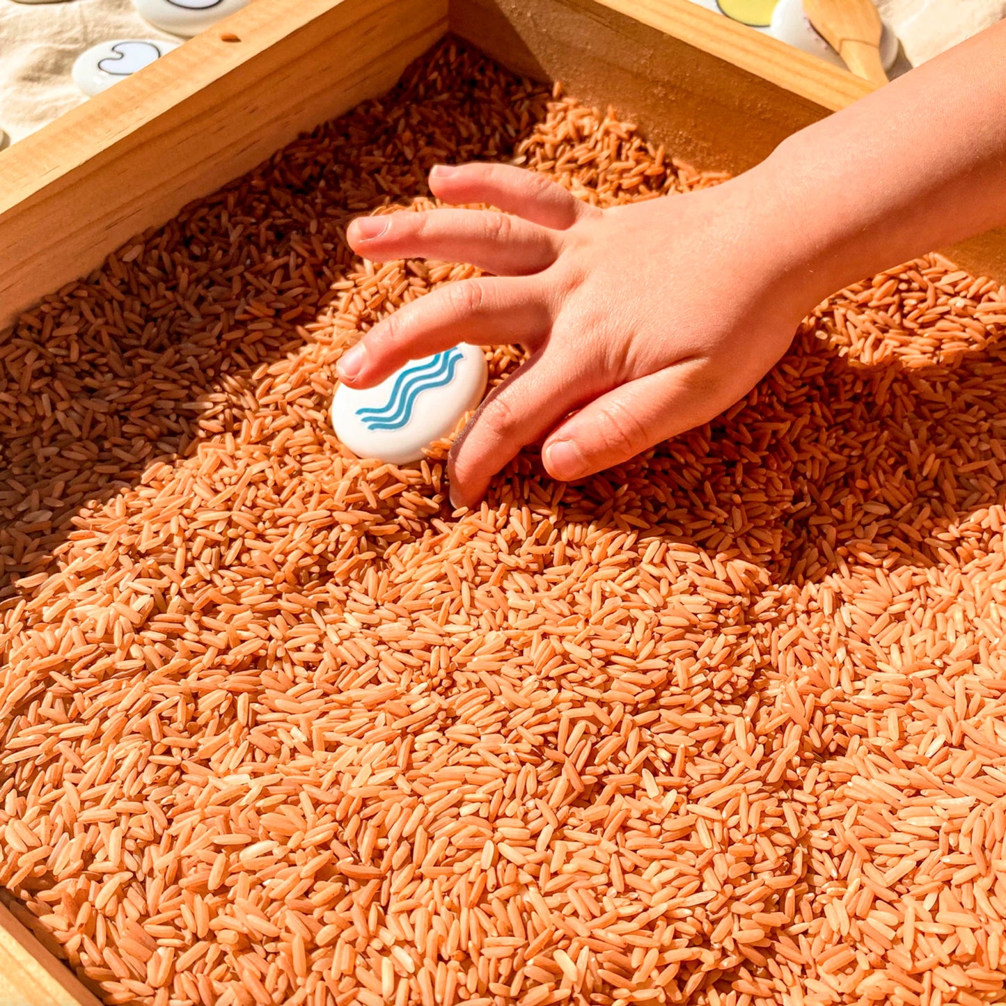 Sensory Rice - Clay