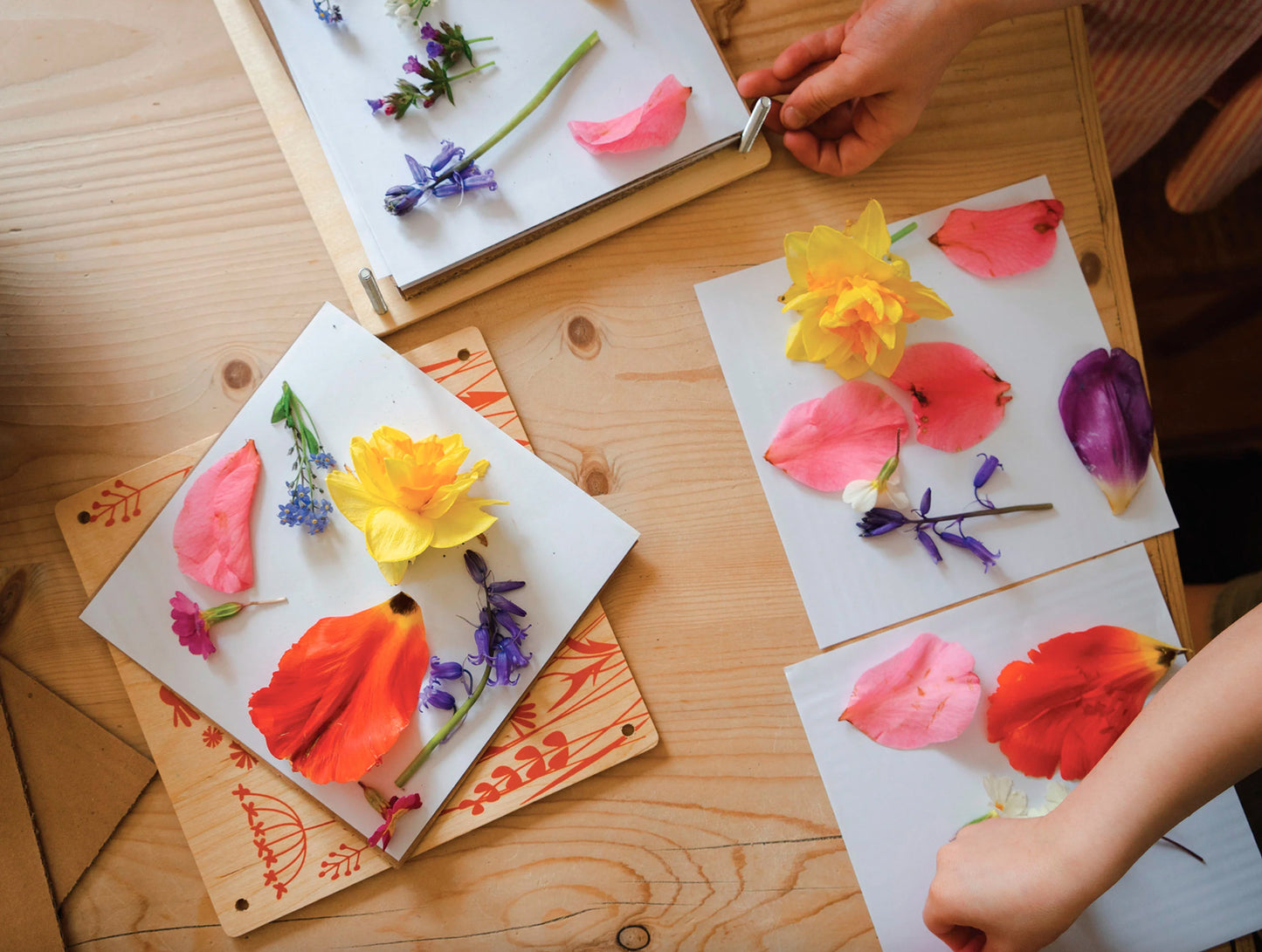 My Botanical Flower Press