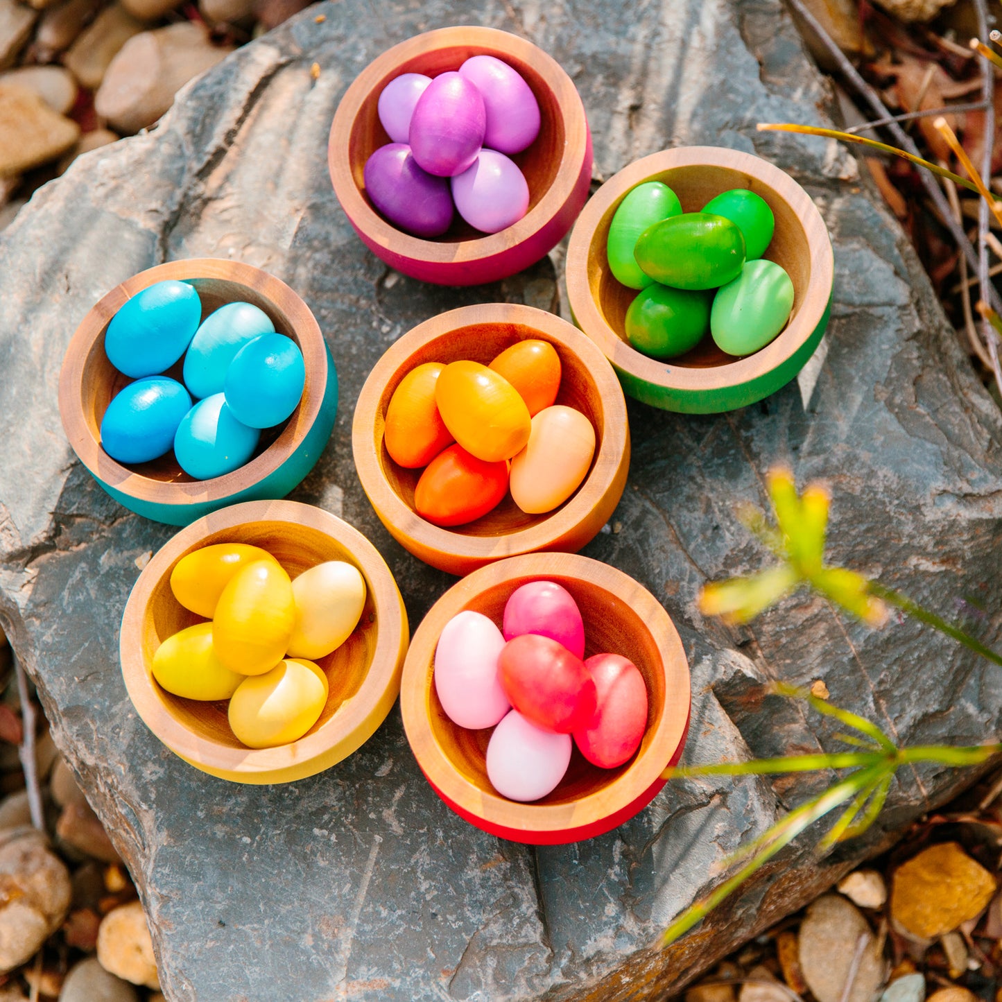 Rainbow Nests