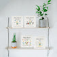 Baby Morris Board Books - Set Of All Four