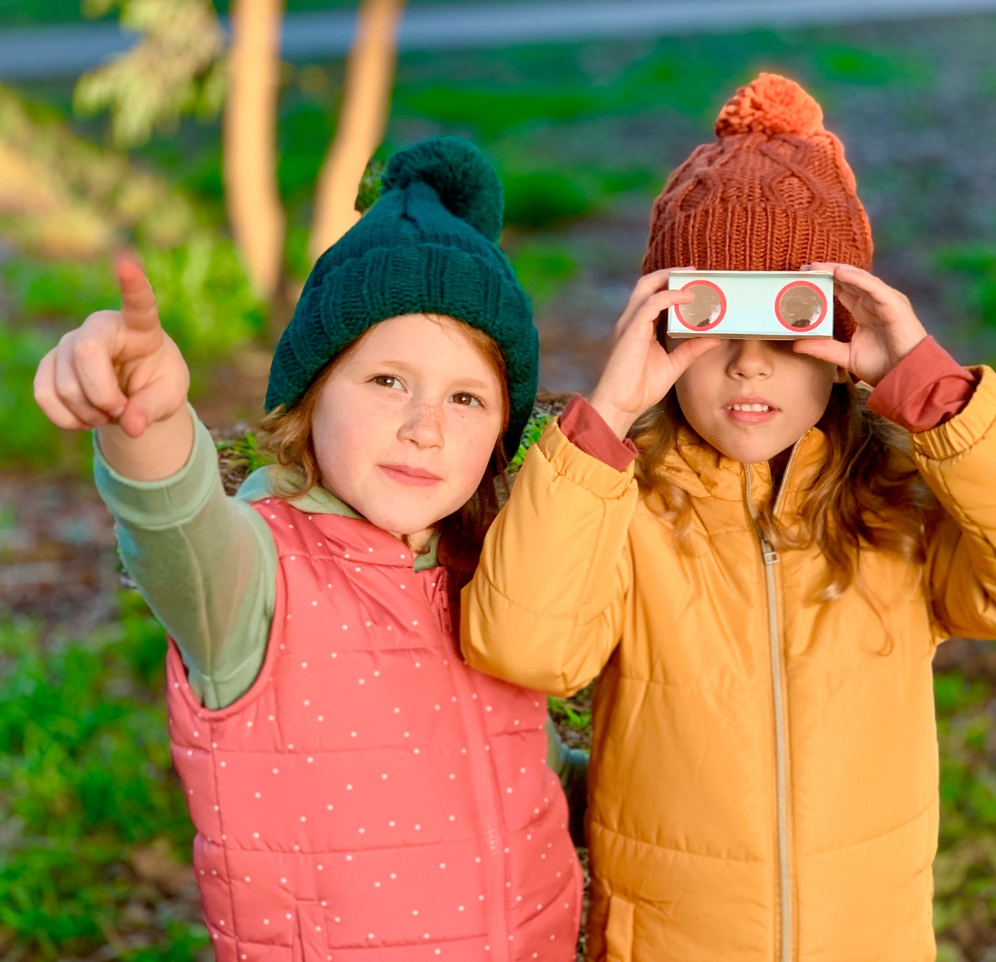 Paper Binoculars - Bird Spotter