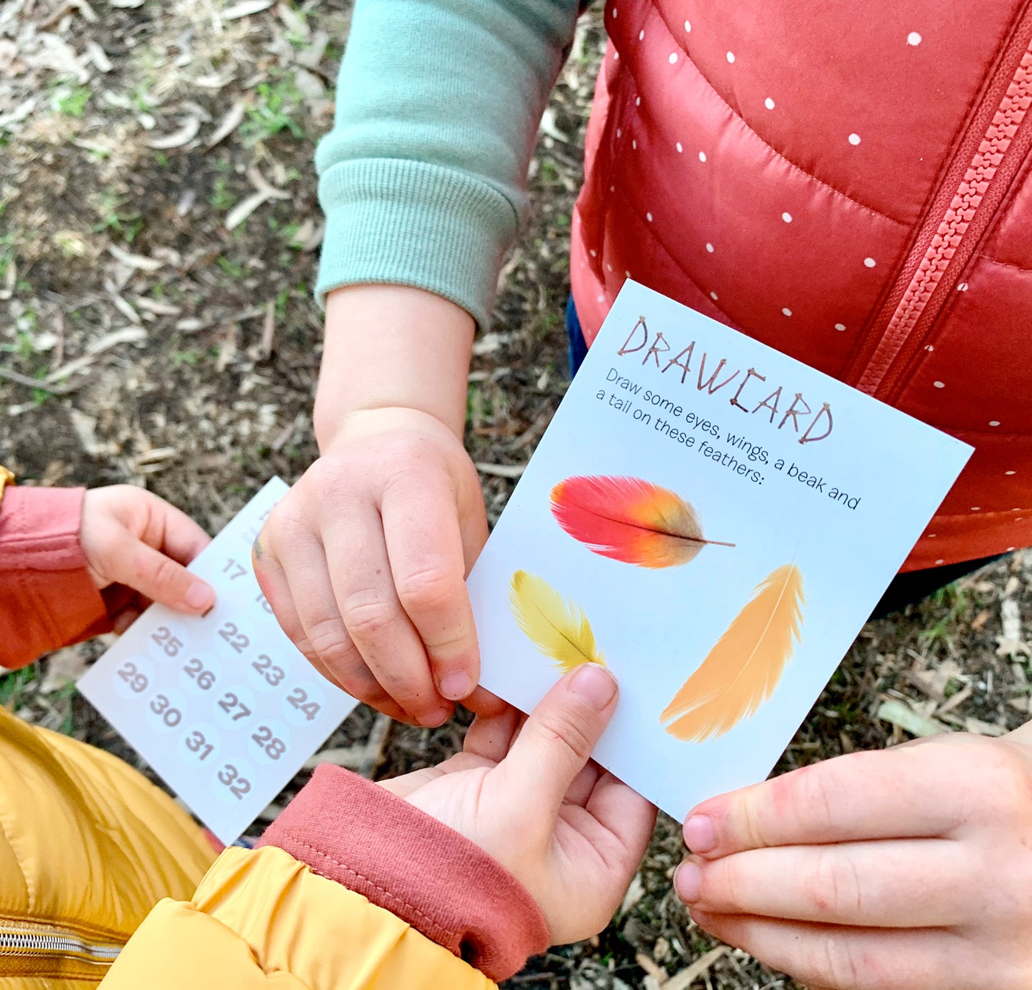 Paper Binoculars - Bird Spotter