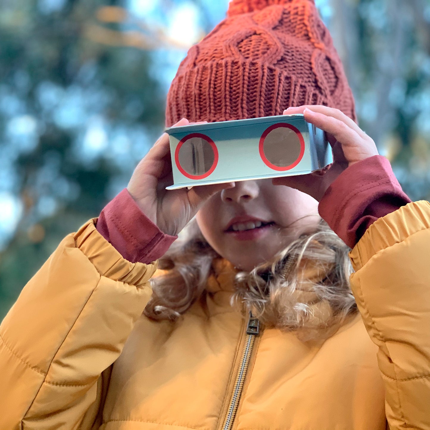 Paper Binoculars - Bird Spotter