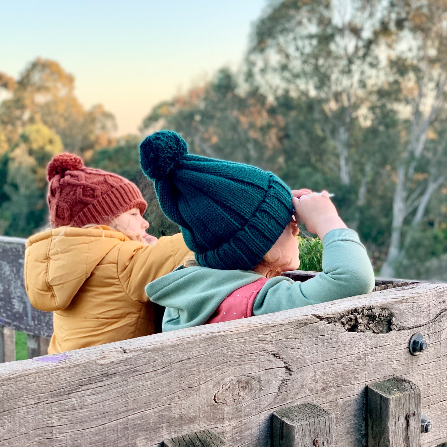Paper Binoculars - Bird Spotter