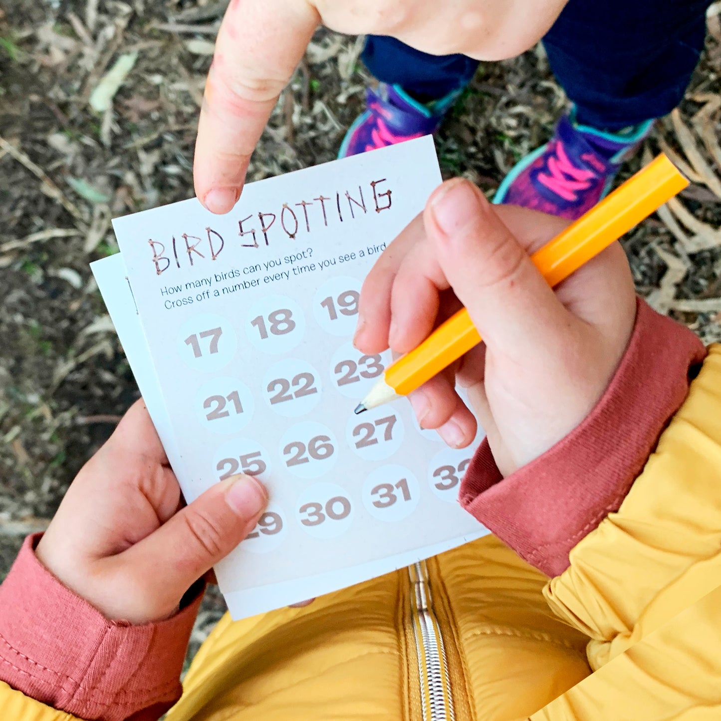 Paper Binoculars - Bird Spotter