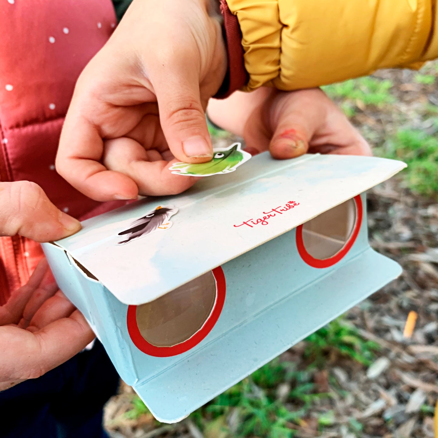 Paper Binoculars - Bird Spotter