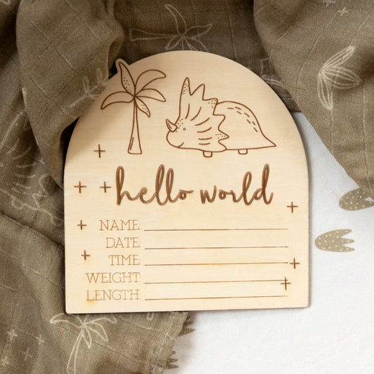 Hello World Dino Arch Birth Announcement Disc