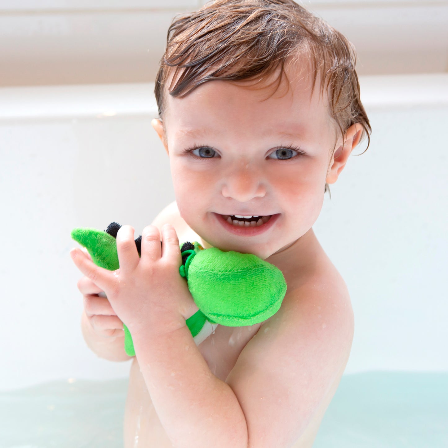 Splash Buddy - Dino