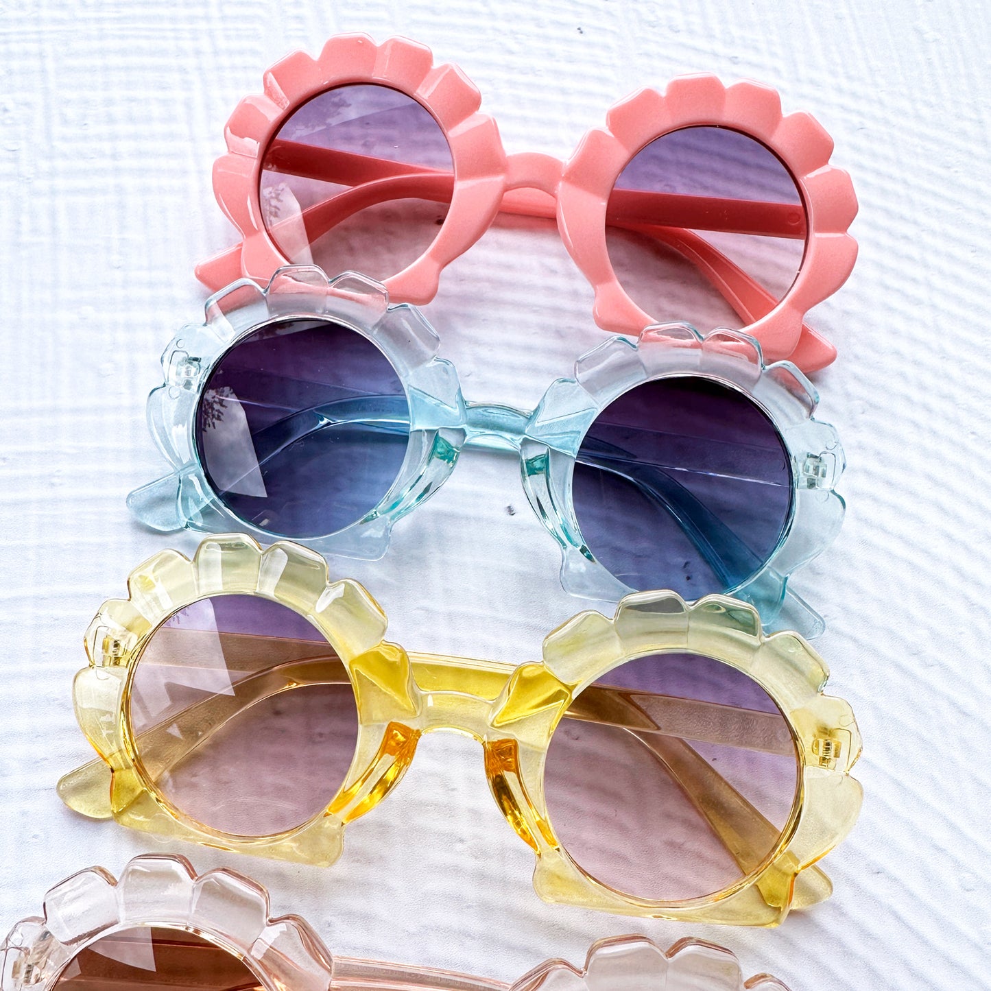 Cora Clam Shell Sunglasses
