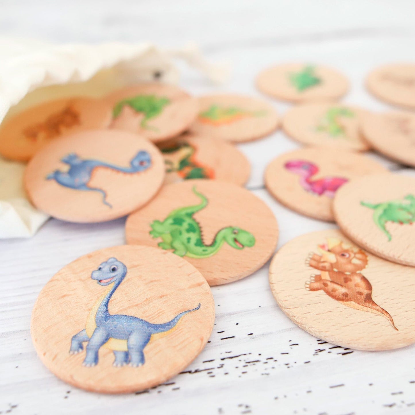 Dinosaur Memory Match Game