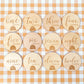 Rainbow Wooden Milestone Discs - Set of 12