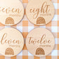 Rainbow Wooden Milestone Discs - Set of 12